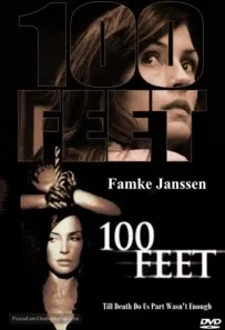 100 Feet (2008) Dual Audio 720p 1080p BluRay 1GB