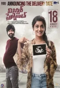 Mr. Pregnant (2023) Hindi Dubbed 720p 1080p WEBRip 979mb